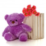 2.5 Feet Fat and Huge Purple Teddy Bear